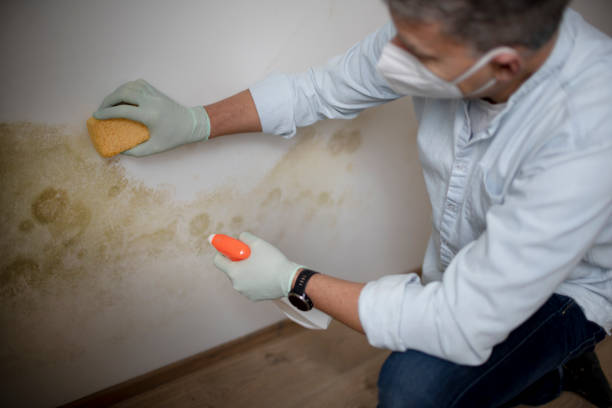 Best Bathroom Mold Remediation in Kuna, ID